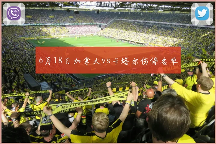 6月18日加拿大vs卡塔尔伤停名单