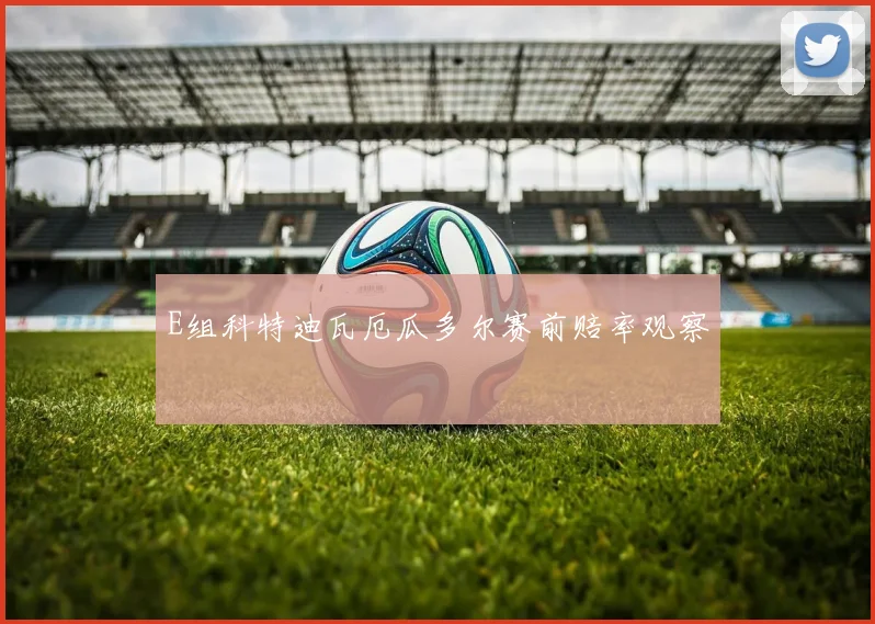 E组科特迪瓦厄瓜多尔赛前赔率观察